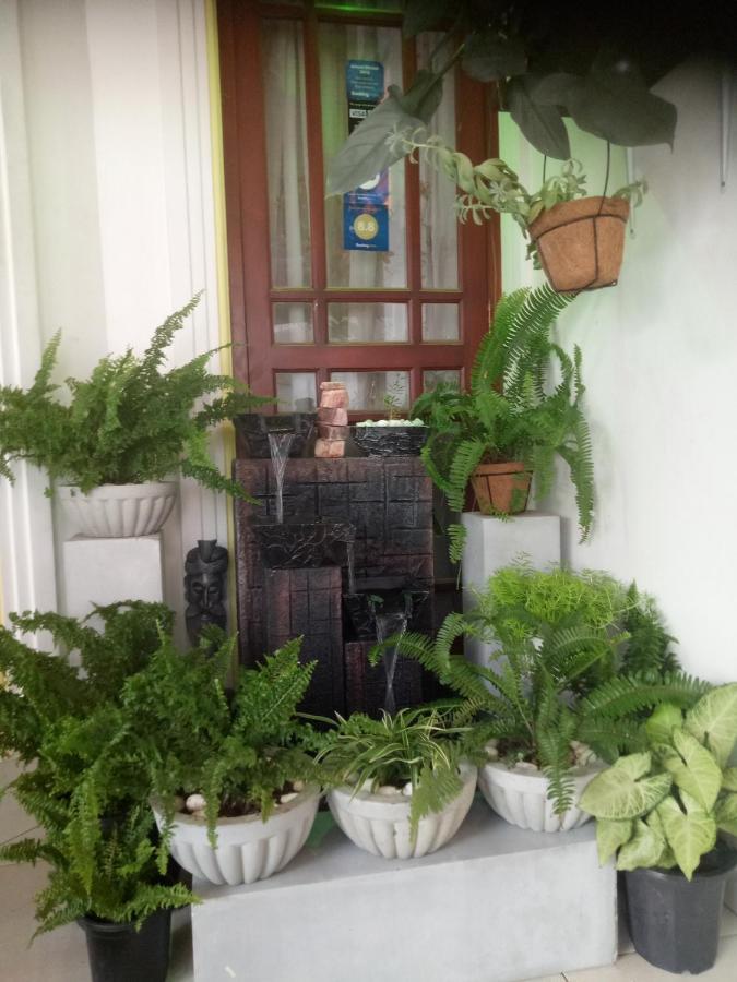 White House Ella Hotel Bagian luar foto