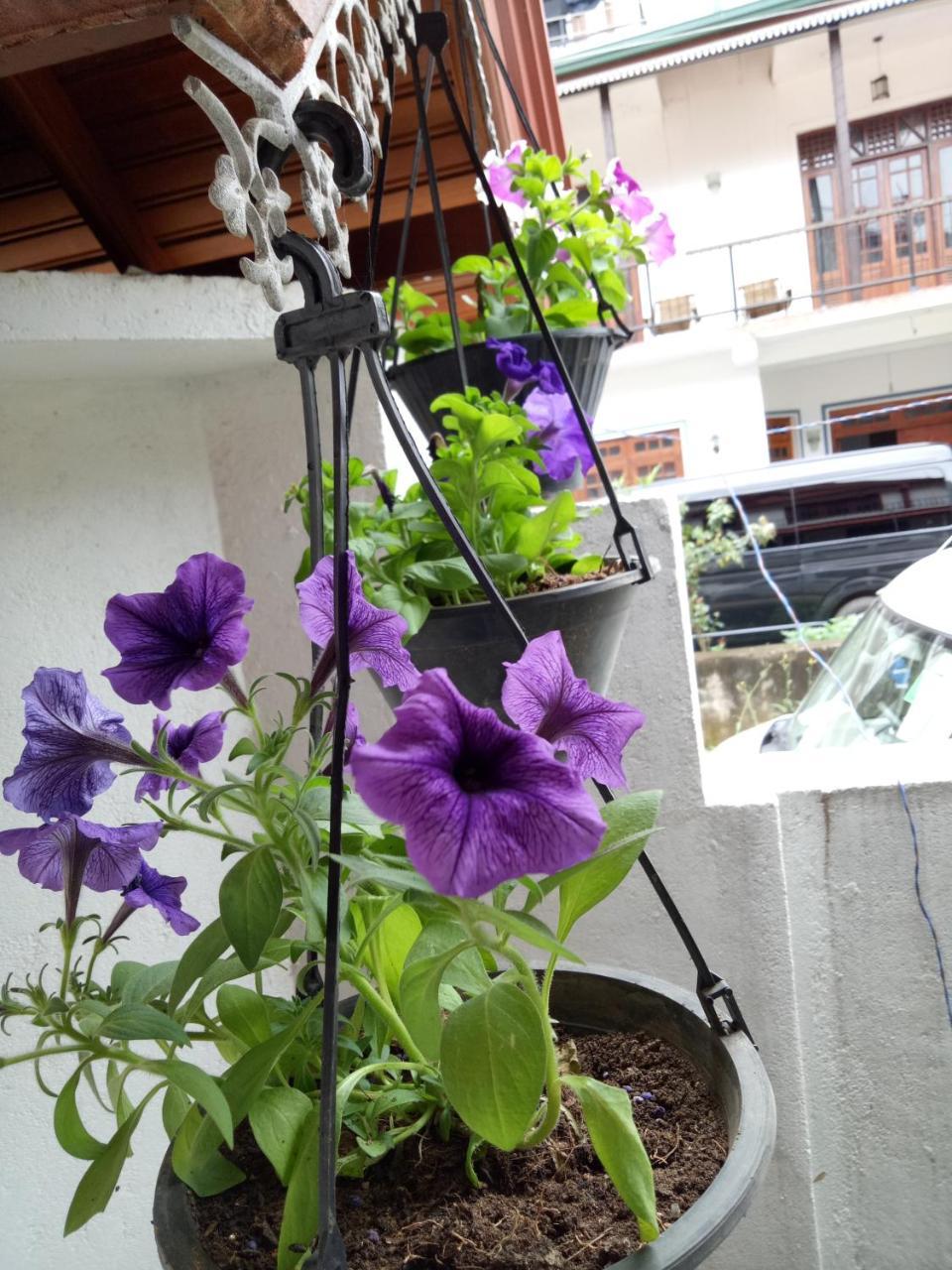 White House Ella Hotel Bagian luar foto